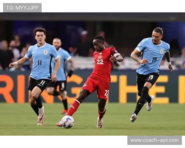 荷兰核心VVD率领球队展现防守艺术铸就绿茵坚固铁墙